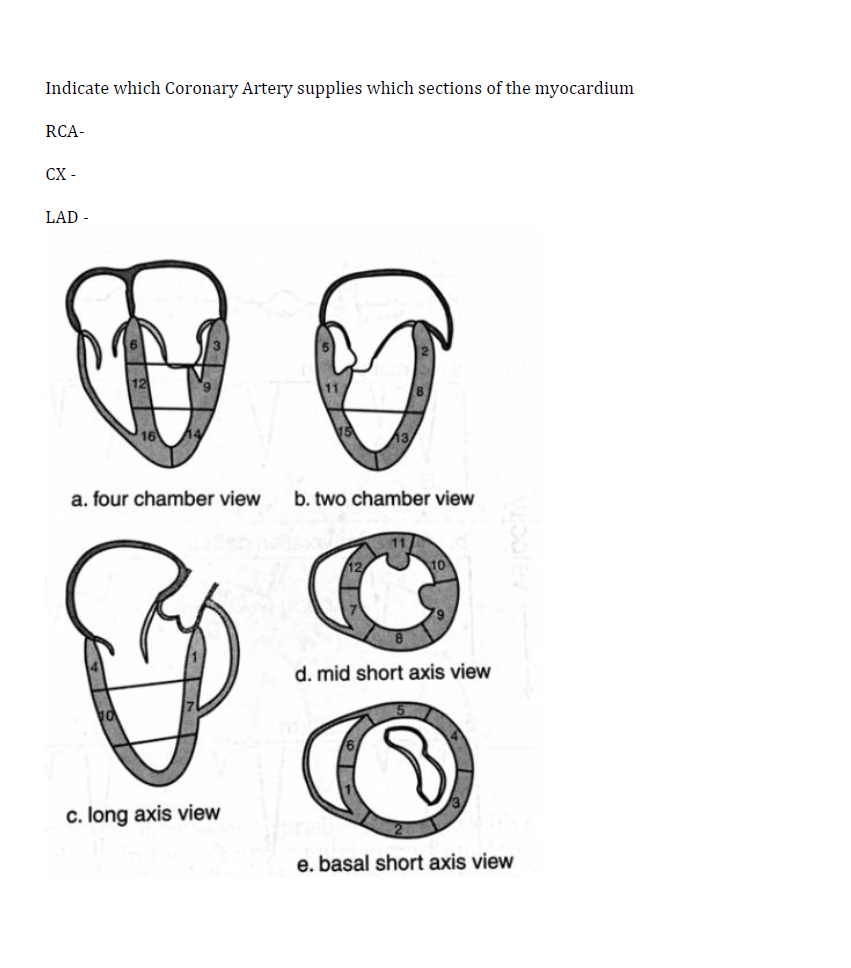 Coronary territory diagrams